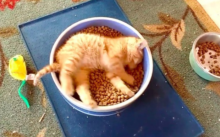       , , , , , 