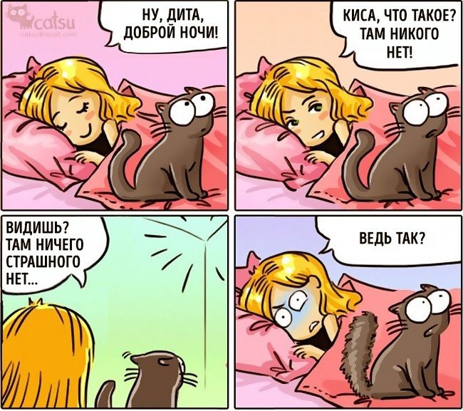 It is so? - Comics, Humor, cat, Catsu