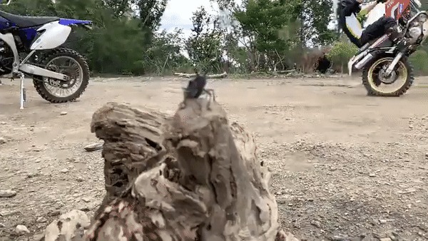 Атака