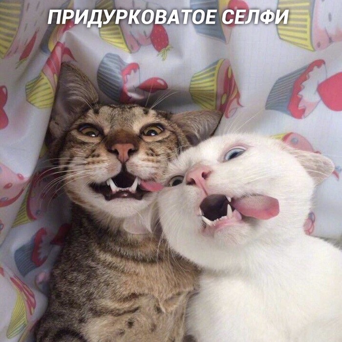   , , , 