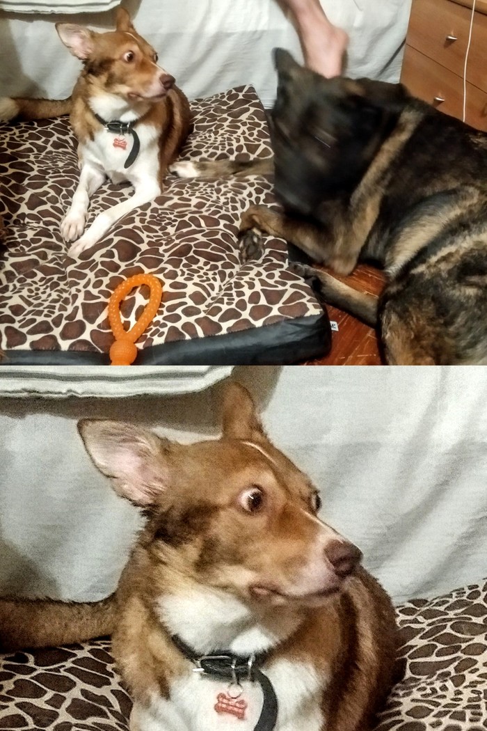 ������, �������, ��� ����� ���������...