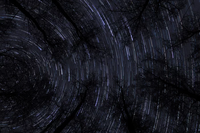Higher and higher, to the very stars, part 2. Ryazan region. - My, Forest, Star Tracks, Astrophoto, Long exposure