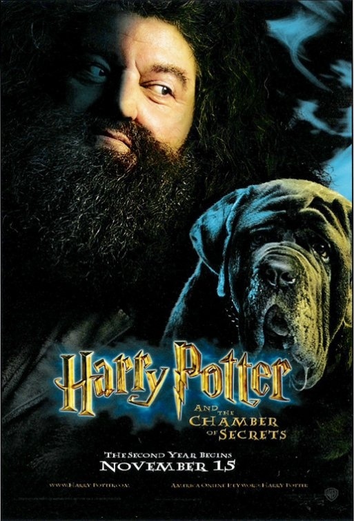 Alternative official posters for the first Harry Potter films - Harry Potter, Poster, Movies, Longpost