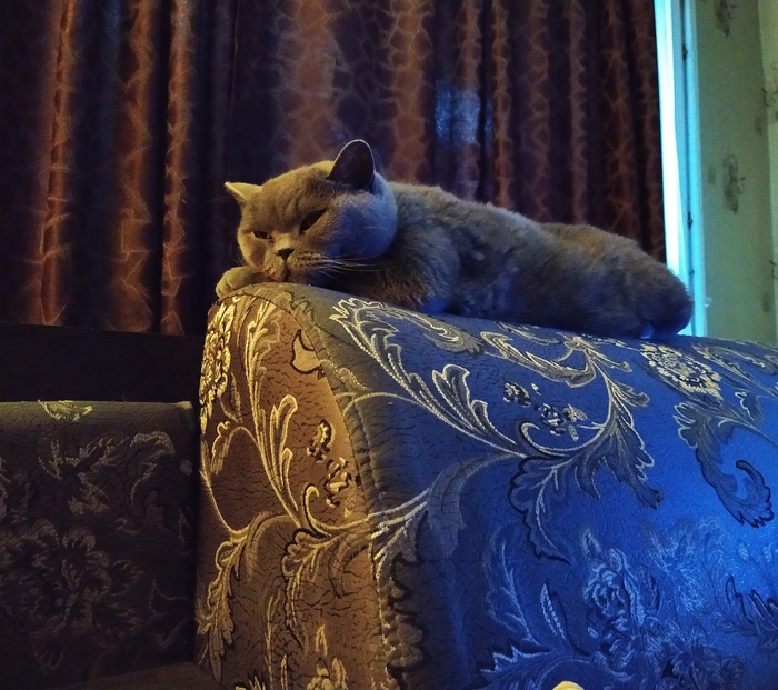 ����� ���� ��������� ��������!)