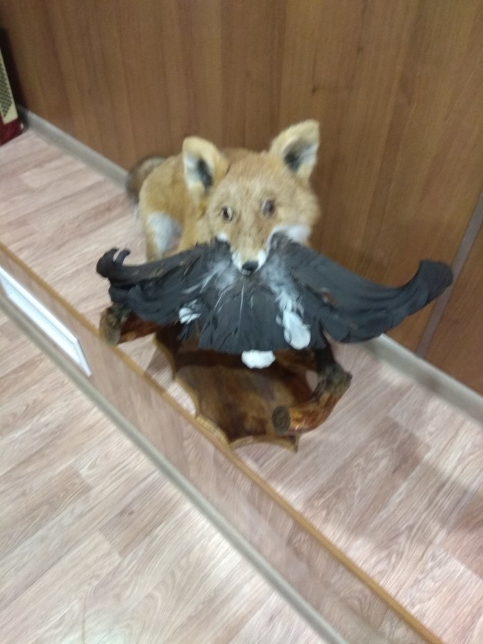 It hit the hook - My, Stoned fox, Humor, Photo on sneaker, Scarecrow, Taxidermy