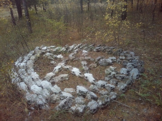 Pentagram lined with skulls found in Togliatti - Tolyatti, Pentagram, Cursed place, news