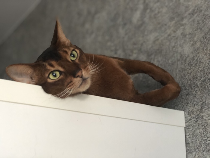 ������� ���