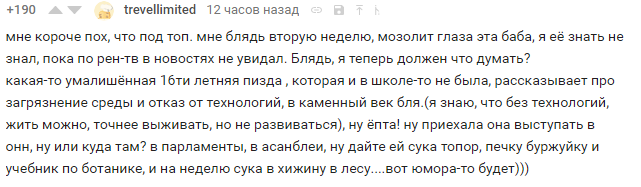 Спасибо, что продолжаете дело Тунберг - Текст, Комментарии, Обсуждение, Скриншот, Экология, Грета Тунберг, Длиннопост