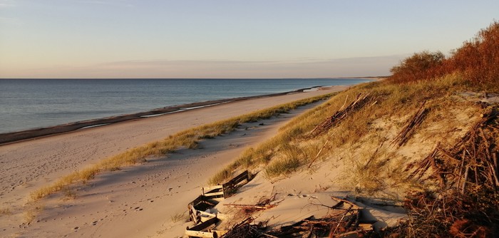 Autumn for everyone - My, Nature, Sea, Autumn