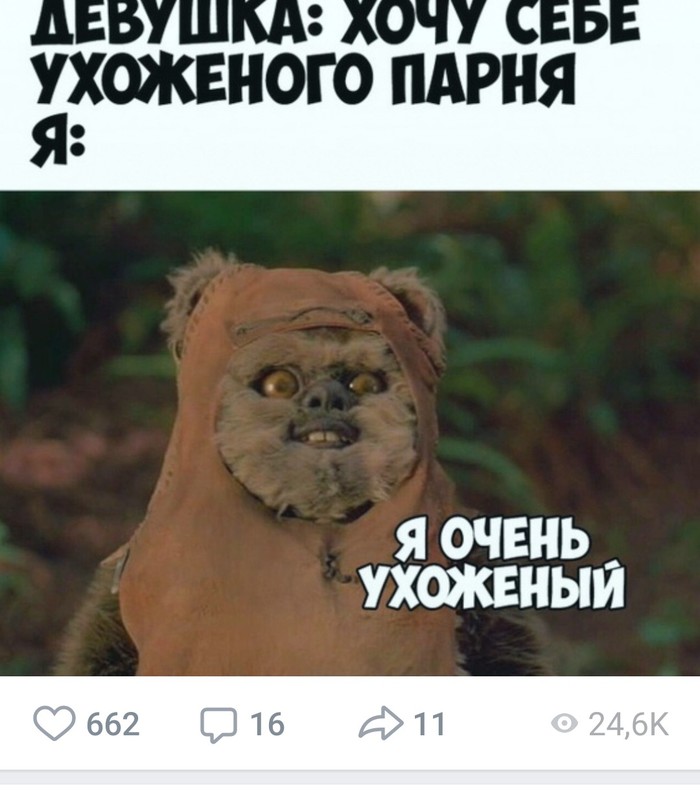 ������ ���������