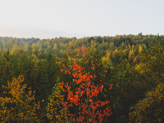 Cycling autumn in the suburbs - My, A bike, The photo, Autumn, Video, Nature, Bonfire, Forest, Longpost