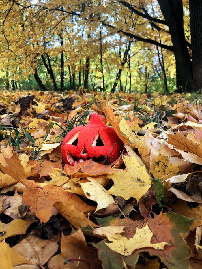 ����� � �����