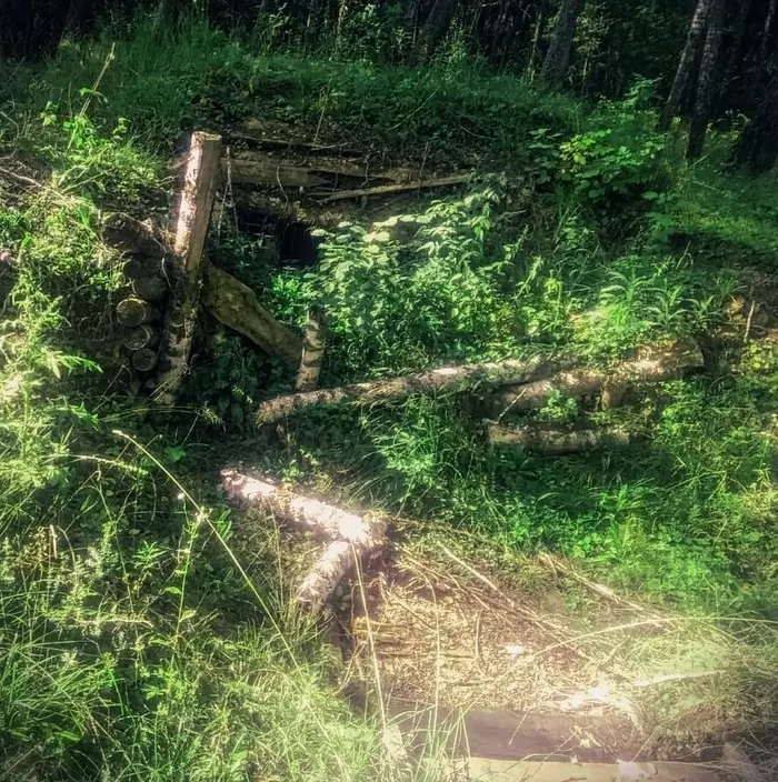 Dugout - My, Dugout, Find, Forest, Trenches, The photo, Longpost