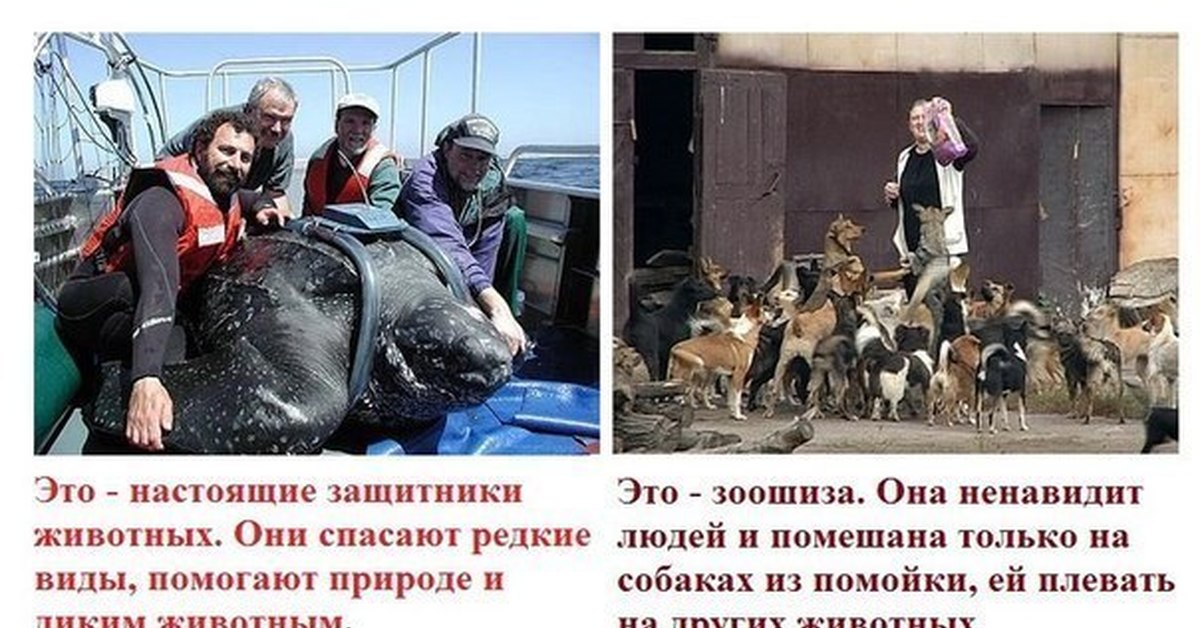Ненавижу русских людей. Шутки про зоозащитников. Защитники животных и зоошиза.