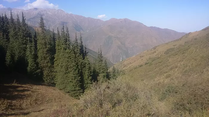 Went on a hike. - My, Tien Shan, The mountains, Hike, Video, Longpost
