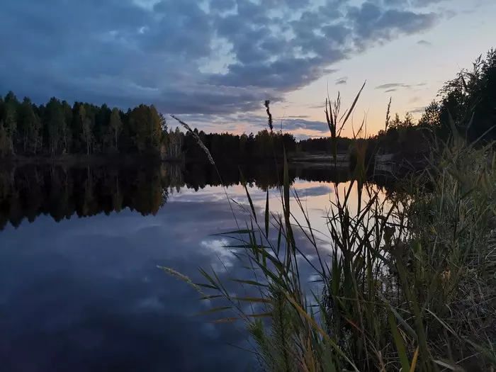 Последние тёплые дни - Моё, Красота природы, Фото на тапок