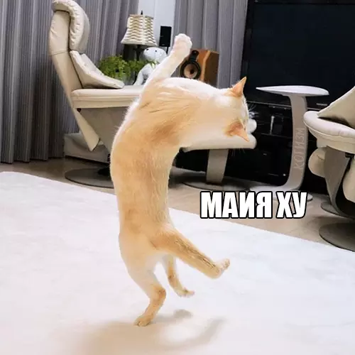 Ð£ Ð²ÑÐ�Ñ Ð�ÑÑÑ ÑÐ¾Ñ ÑÐ�Ð¼ÑÐ¹ Ð´ÑÑÐ³, ÐºÐ¾ÑÐ¾ÑÑÐ¹: ÐÐ¾Ñ, ÐÐ�ÑÑÐ¸Ð½ÐºÐ� Ñ ÑÐ�ÐºÑÑÐ¾Ð¼, ÐÐ¾ÑÐ¾Ð¼Ð�ÑÐ¸Ñ, ÐÑÐ¼Ð�Ð½ÑÐ¼Ð�Ð�, ÐÐ�Ð¸Ð½Ð½Ð¾Ð¿Ð¾ÑÑ, O-Zone, Dragostea din tei