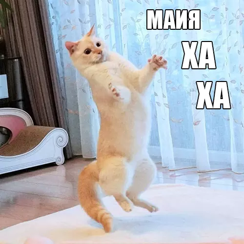 Ð£ Ð²ÑÐ�Ñ Ð�ÑÑÑ ÑÐ¾Ñ ÑÐ�Ð¼ÑÐ¹ Ð´ÑÑÐ³, ÐºÐ¾ÑÐ¾ÑÑÐ¹: ÐÐ¾Ñ, ÐÐ�ÑÑÐ¸Ð½ÐºÐ� Ñ ÑÐ�ÐºÑÑÐ¾Ð¼, ÐÐ¾ÑÐ¾Ð¼Ð�ÑÐ¸Ñ, ÐÑÐ¼Ð�Ð½ÑÐ¼Ð�Ð�, ÐÐ�Ð¸Ð½Ð½Ð¾Ð¿Ð¾ÑÑ, O-Zone, Dragostea din tei