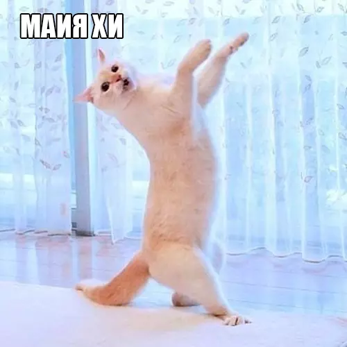Ð£ Ð²ÑÐ�Ñ Ð�ÑÑÑ ÑÐ¾Ñ ÑÐ�Ð¼ÑÐ¹ Ð´ÑÑÐ³, ÐºÐ¾ÑÐ¾ÑÑÐ¹: ÐÐ¾Ñ, ÐÐ�ÑÑÐ¸Ð½ÐºÐ� Ñ ÑÐ�ÐºÑÑÐ¾Ð¼, ÐÐ¾ÑÐ¾Ð¼Ð�ÑÐ¸Ñ, ÐÑÐ¼Ð�Ð½ÑÐ¼Ð�Ð�, ÐÐ�Ð¸Ð½Ð½Ð¾Ð¿Ð¾ÑÑ, O-Zone, Dragostea din tei