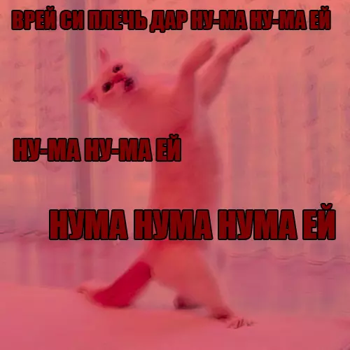 Ð£ Ð²ÑÐ�Ñ Ð�ÑÑÑ ÑÐ¾Ñ ÑÐ�Ð¼ÑÐ¹ Ð´ÑÑÐ³, ÐºÐ¾ÑÐ¾ÑÑÐ¹: ÐÐ¾Ñ, ÐÐ�ÑÑÐ¸Ð½ÐºÐ� Ñ ÑÐ�ÐºÑÑÐ¾Ð¼, ÐÐ¾ÑÐ¾Ð¼Ð�ÑÐ¸Ñ, ÐÑÐ¼Ð�Ð½ÑÐ¼Ð�Ð�, ÐÐ�Ð¸Ð½Ð½Ð¾Ð¿Ð¾ÑÑ, O-Zone, Dragostea din tei