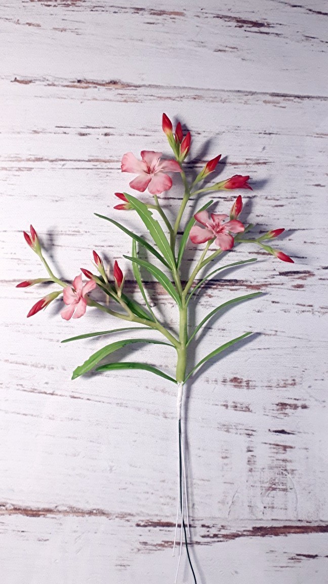 Handmade oleander - My, Needlework without process, Oleander, Polymer clay, Plants, Flowers, Cold porcelain, Longpost