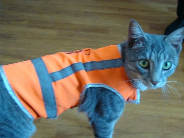 Attendant at Flame Station - cat, Russian Railways