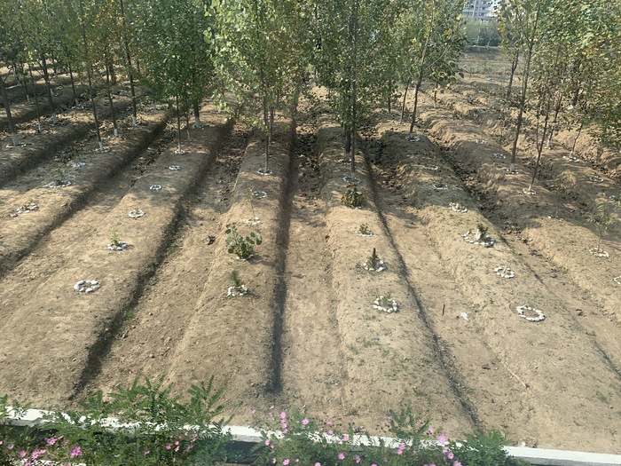 Северная Корея вне Пхеньяна. Часть 2 Северная Корея, Путешествия, Пхеньян, Мат, Длиннопост