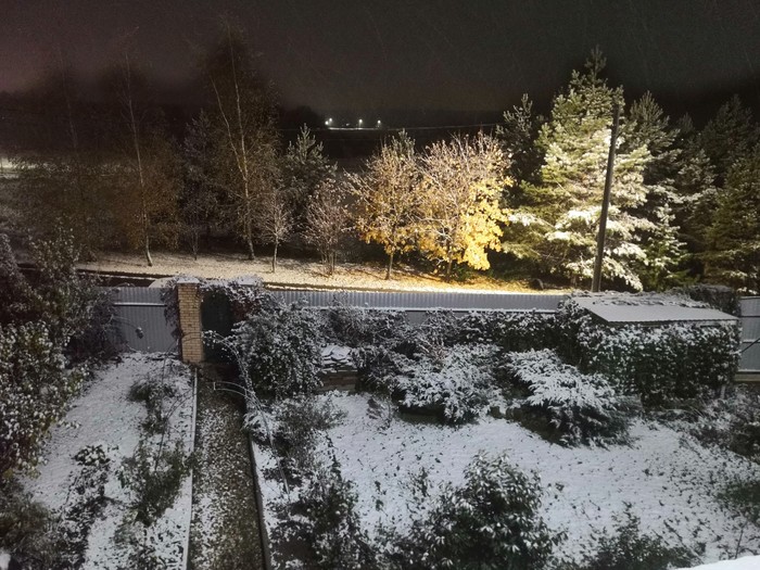 ������ ���� 06.10.19