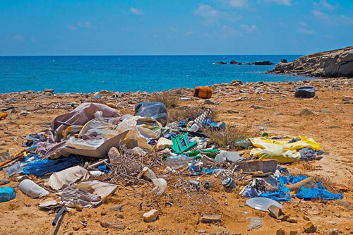 The authorities helped the volunteers by giving them a ton of garbage to clean up - Ecology, Garbage, Beach, Volunteering