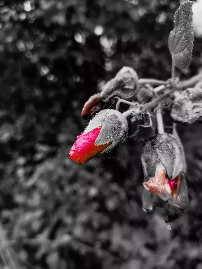 Waiting for the snow - My, Mobile photography, Dzerzhinsk, Longpost, Huawei mate 20, Video, Slow motion