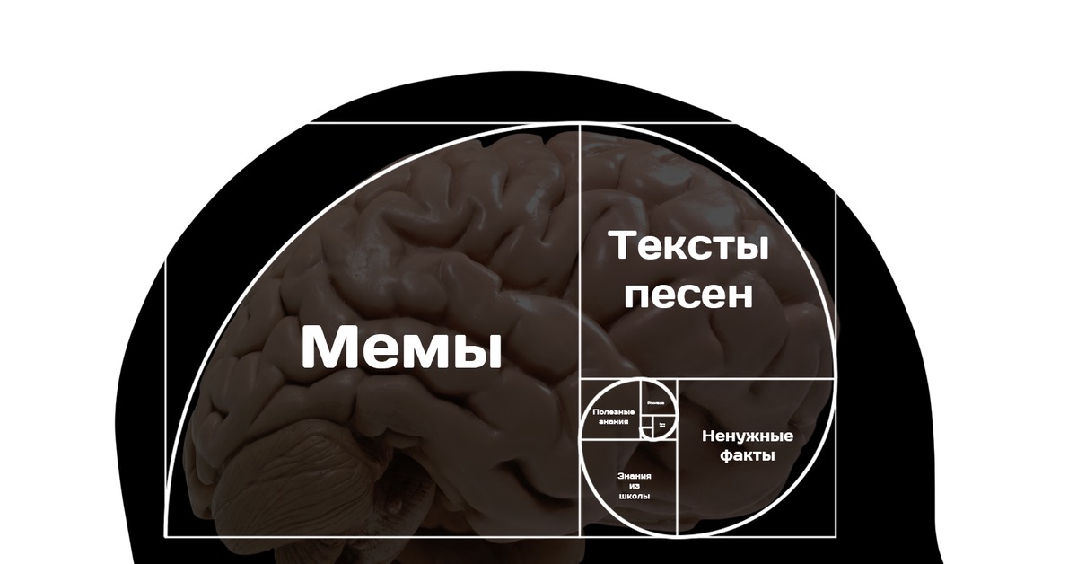 Золотое Сечение В Жизни