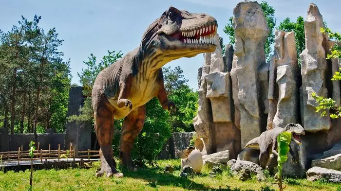In Krasnodar, they want to close the largest zoo - My, Negative, Krasnodar, The park, Zoo