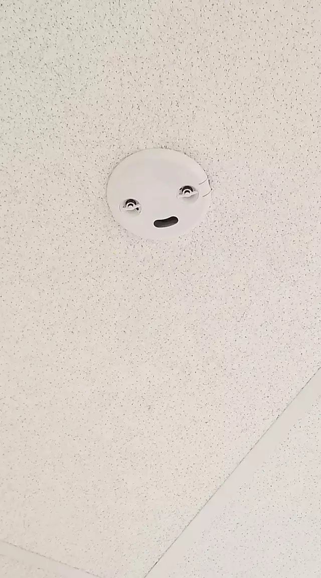 ЧÑо ÑÑо за ÑÑÑка - 72 ÐеÑевел Ñам, Reddit, Whatisthisthing, Ðидео, ÐлиннопоÑÑ