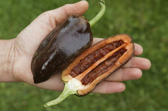 Необычные продукты о которых вы могли и не знать Продукты, Необычная еда, Познавательно, Экзотическая еда, Длиннопост Необычные продукты о которых вы могли и не знать Продукты, Необычная еда, Познавательно, Экзотическая еда, Длиннопост