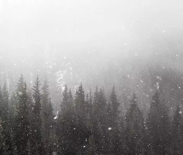Snowfall in the mountains - My, Snow, The mountains, Snowfall, Almaty, Kazakhstan