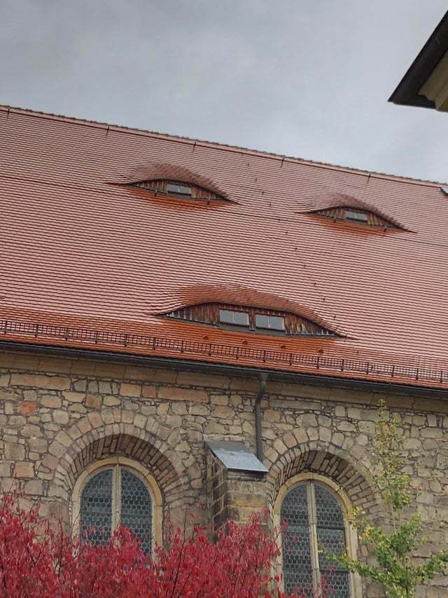 В доме наверное повышенная влажность в подвале