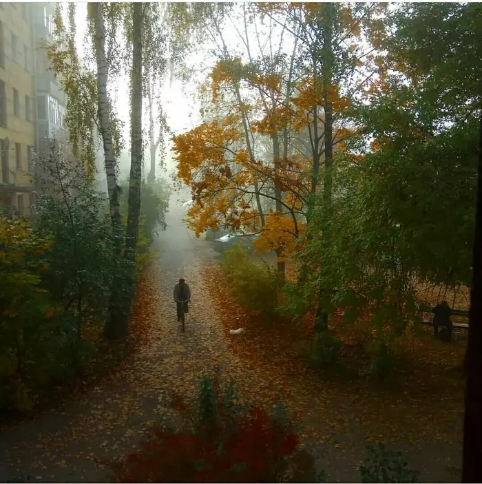 View from the window - My, Autumn leaves, Autumn, The photo