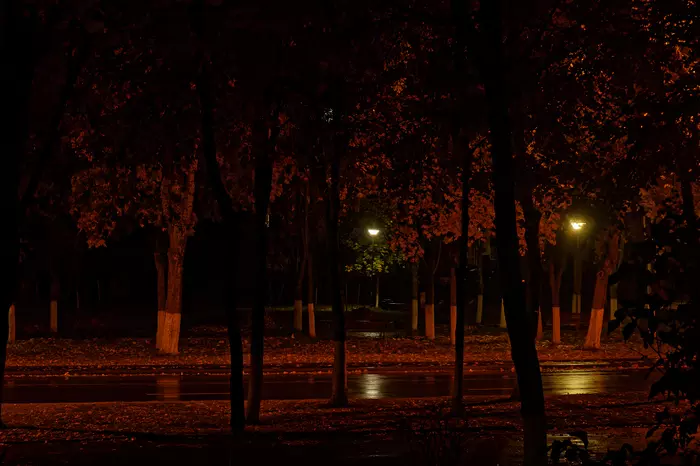 Night, street, lantern - My, Canon 750d, Autumn, The photo
