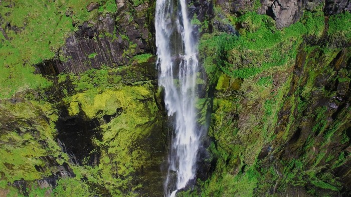  DJI, Phantom