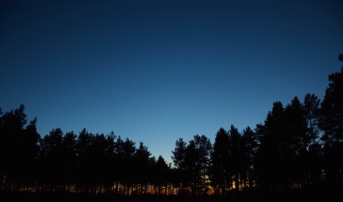 Minimalism - My, Beginning photographer, Sunset, Forest