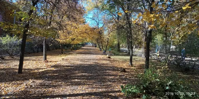 Осень в моём городе - Моё, Осень, Город, Фото на тапок, Длиннопост