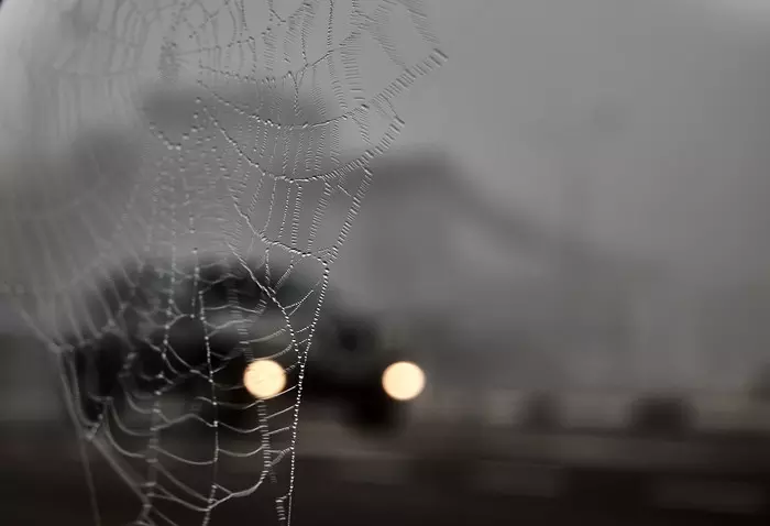 Spider city Dubna - My, The photo, Town, Dubna, Morning, Web, I want criticism