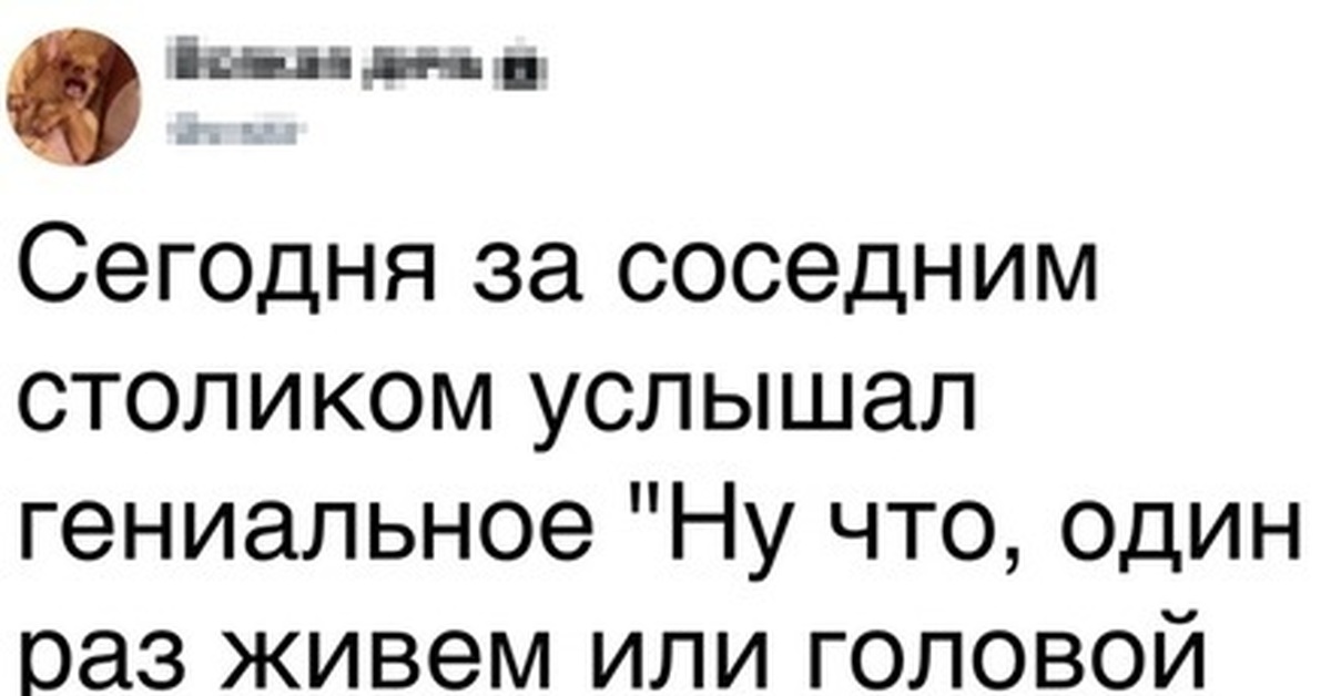 Живем один раз banedrug. Один раз живем или головой подумаем. Живём один раз. Ну что один раз живем или головой подумаем. Один раз живем или головой подумаем картинки.