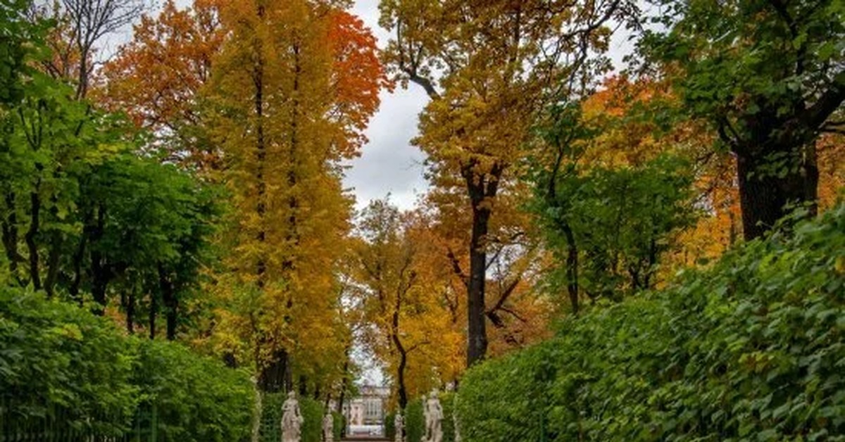 Летний сад осенью в санкт петербурге