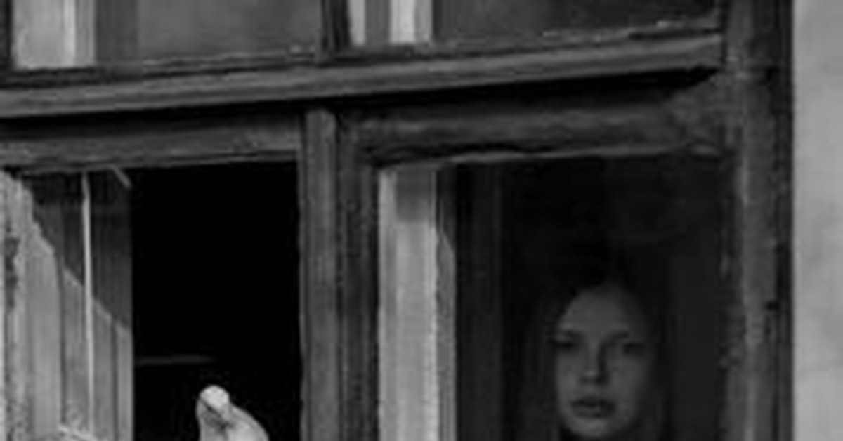 Любовь и голуби | Пикабу