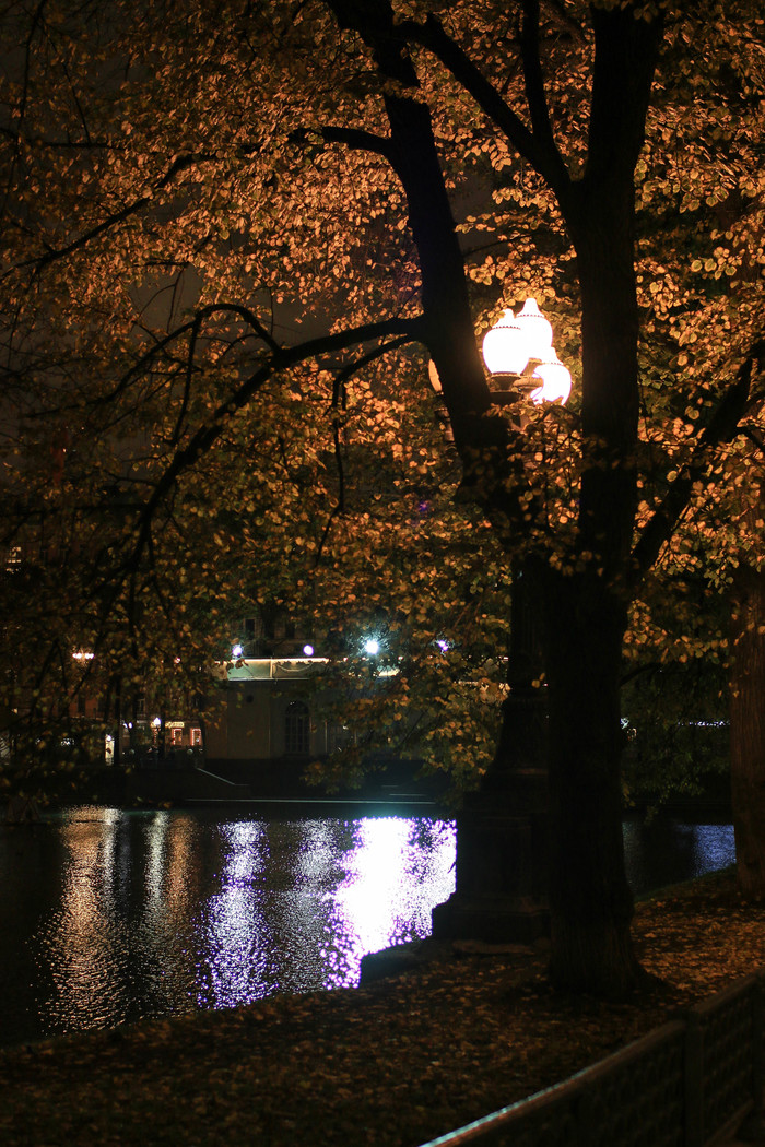    .  , , ,  , Canon 70d, , 