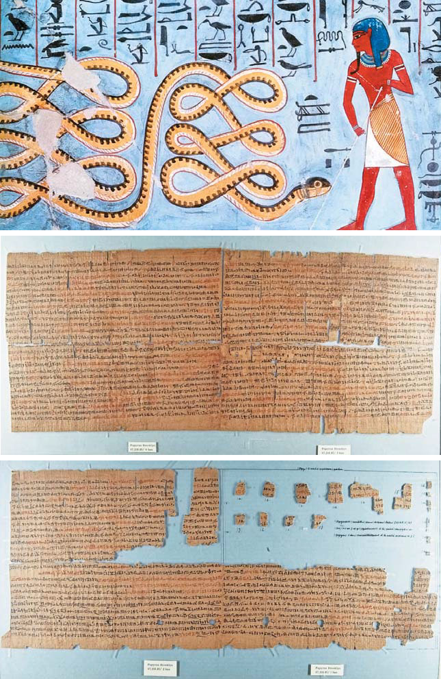 Snake venoms - from antiquity to the present day. - Chemistry, I, The medicine, Elementy ru, Longpost, Snake venom