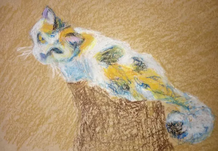 Cat (top view) - My, Drawing, cat, Oil pastel