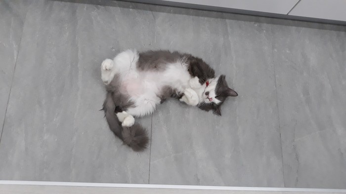 � ����� ���� ��� �������