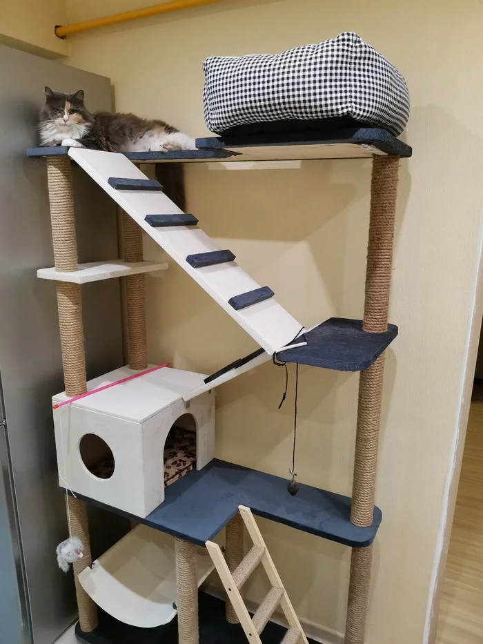 Koshkin entertainment center in haste - My, Scratching post, cat, cat house, Pet house